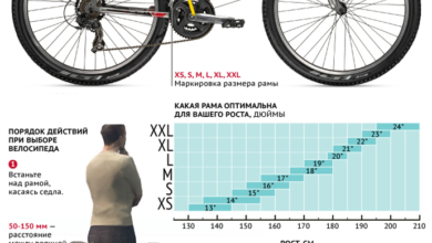 Photo of Основные критерии выбора городского велосипеда